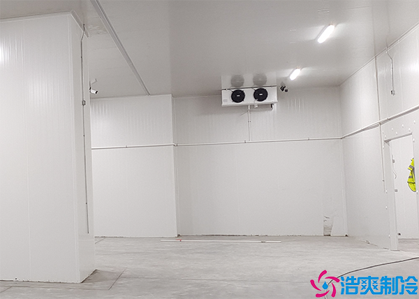 酒店双温榴莲网站官网