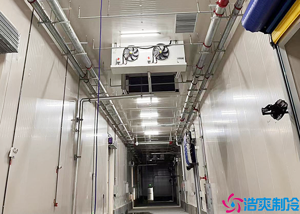 低温车间榴莲网站官网