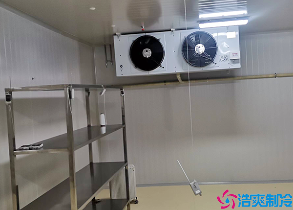 牛肉小型榴莲网站官网