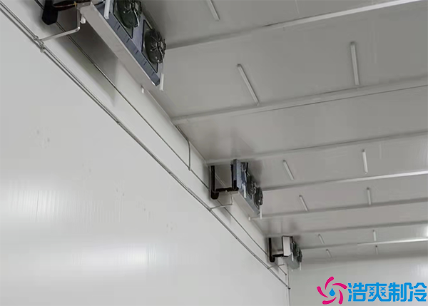 双温组装榴莲网站官网