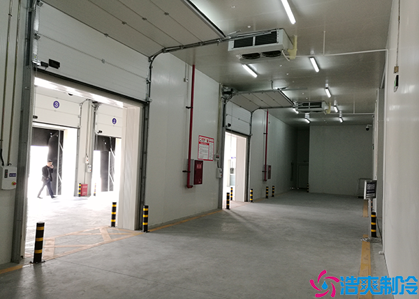 食品榴莲网站官网