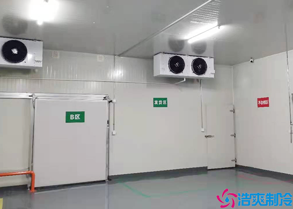 蔬菜保鲜榴莲网站官网