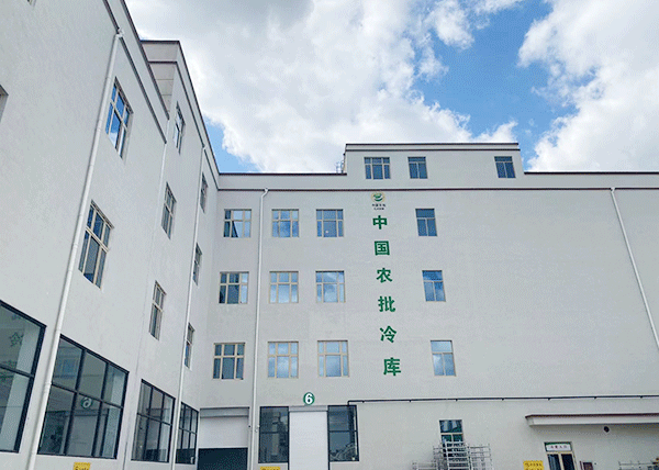 农产品榴莲网站官网.png