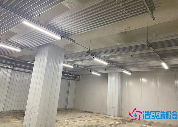 大型榴莲网站官网.jpg