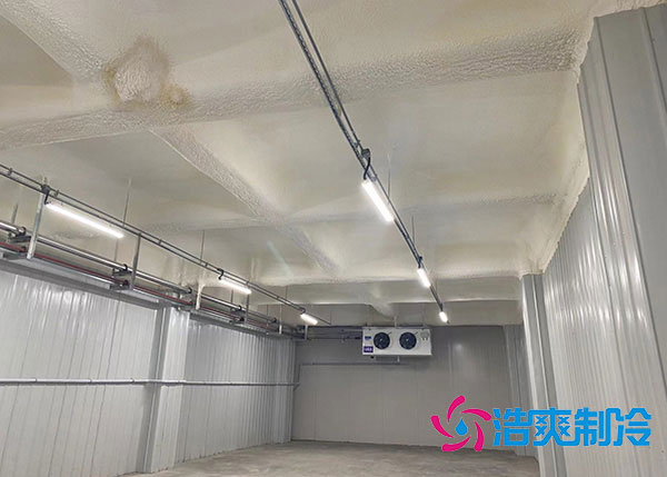 湖北葡萄气调保鲜榴莲网站官网建造厂家.jpg