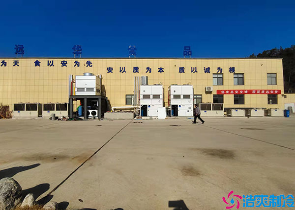 江西低温食品榴莲网站官网如何设计?.jpg
