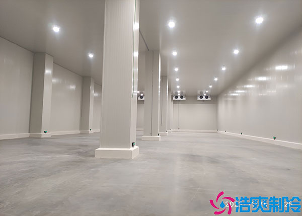 江西蔬菜物流榴莲网站官网定制规划流程.jpg