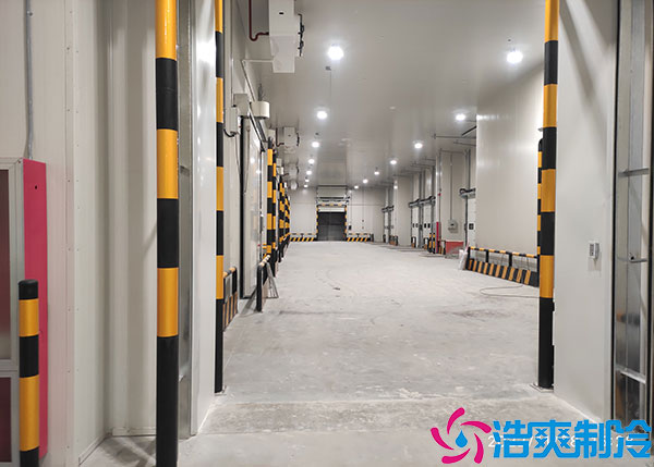 蔬菜农产品储存应该选择什么类型的榴莲网站官网？.jpg