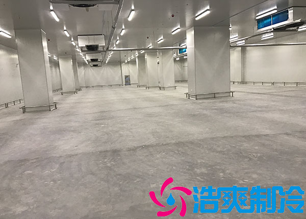 上海榴莲网站官网设计造价厂家.jpg