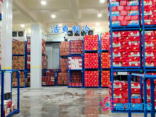 水果榴莲网站官网造价分析