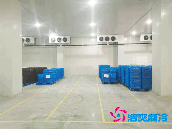 2025年各类型榴莲网站官网造价及成本盘点