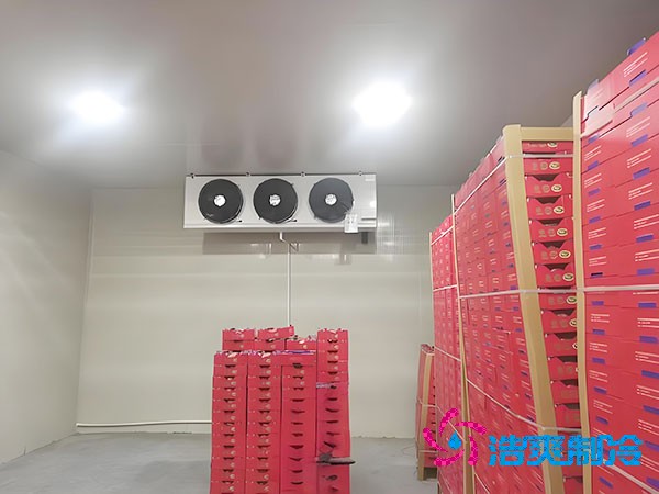 榴莲网站官网造价