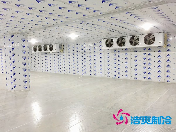 建造一个餐饮双温榴莲网站官网造价成本需要多少资金？