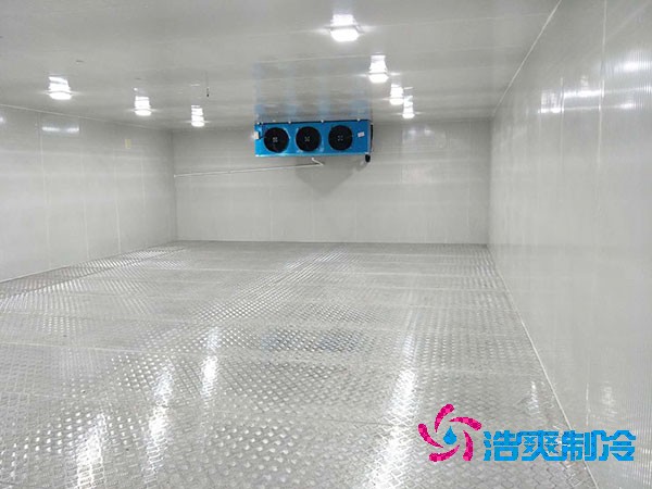 建造一个餐饮双温榴莲网站官网造价成本需要多少资金？
