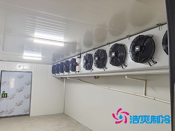 建造500平方米梨子保鲜榴莲网站官网的费用是多少?-榴莲视频在线观看下载制冷