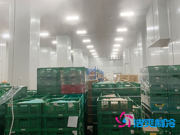 葡萄保鲜榴莲网站官网造价