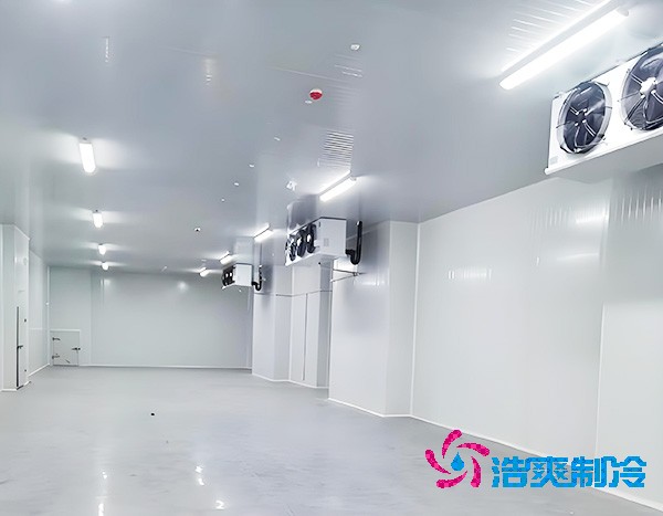 小型花卉鲜花榴莲网站官网的造价大概是多少钱？