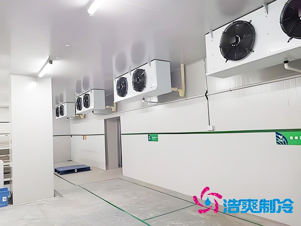 上海低温榴莲网站官网造价大概是多少钱