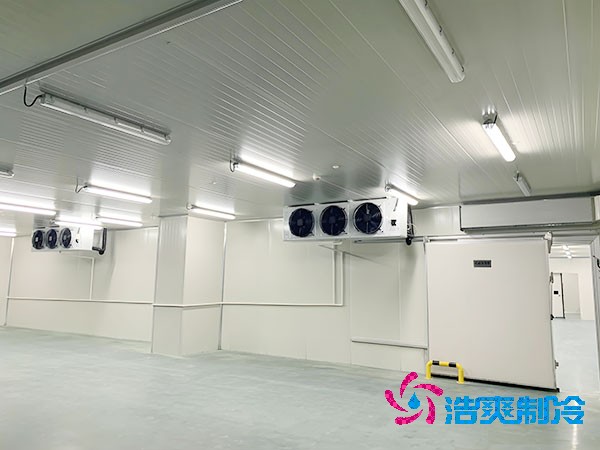 榴莲网站官网建设费用