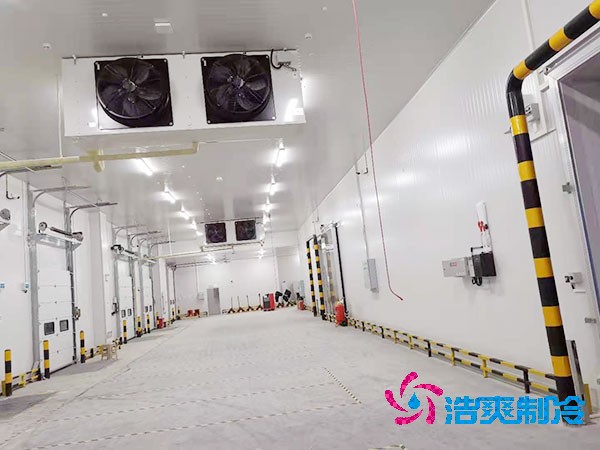 冷链物流榴莲网站官网安装价格