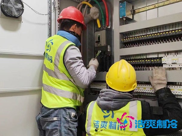 榴莲网站官网建设报价
