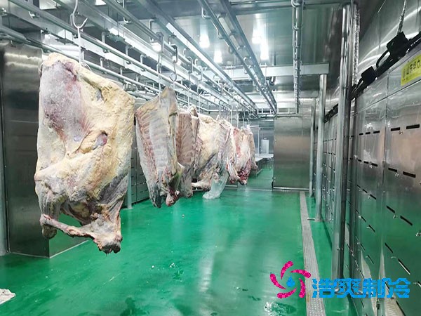 牛肉冷冻库造价