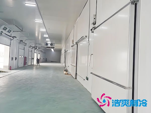 500吨容量榴莲网站官网造价