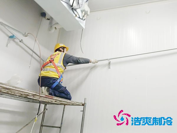 500吨容量榴莲网站官网造价