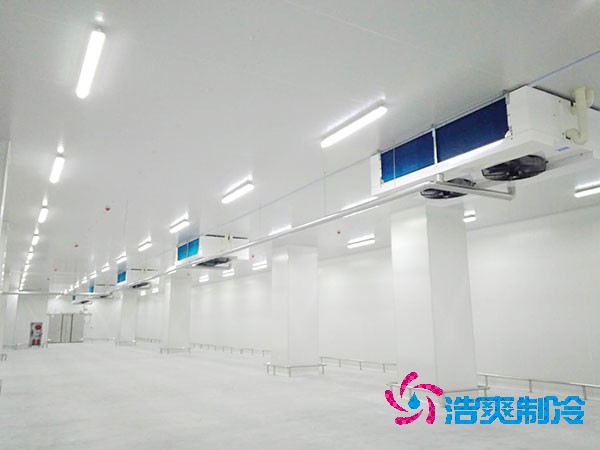 5000吨大型榴莲网站官网造价