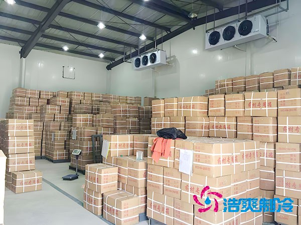 千吨级食品榴莲网站官网造价预算