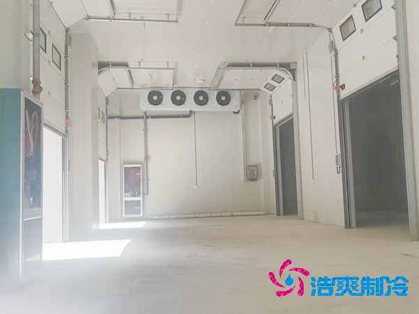 冷冻食品榴莲网站官网造价费用