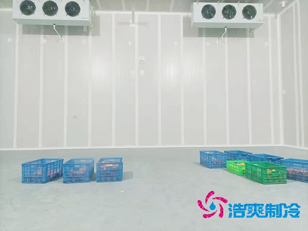 小型榴莲网站官网造价成本估算