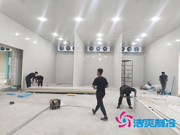 建一个3000立方的榴莲网站官网造价需要多少钱