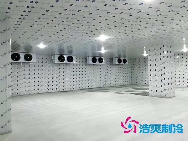 雪糕低温榴莲网站官网建造价成本