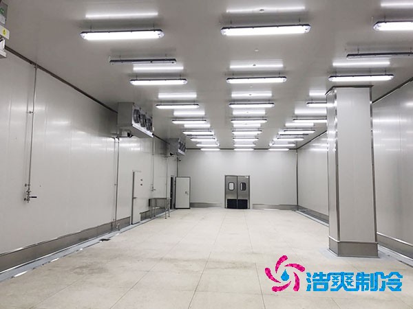 建造1000平方米大型海鲜榴莲网站官网的造价问题及全面解析