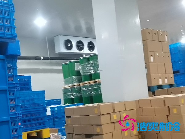 建造鱼糜制品低温榴莲网站官网的费用及其重要性