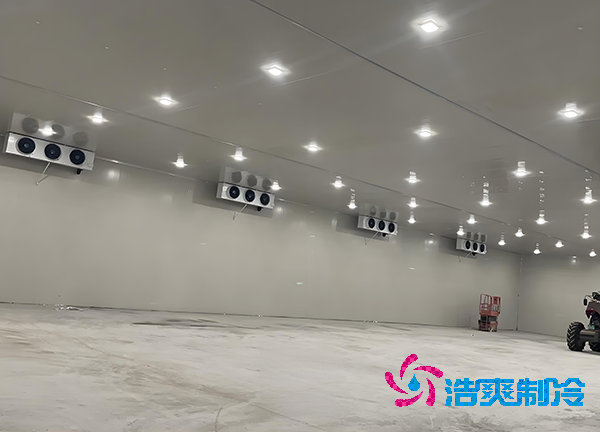 -18℃冻肉能放半年？揭秘食品榴莲网站官网造价秘密！-榴莲视频在线观看下载制冷