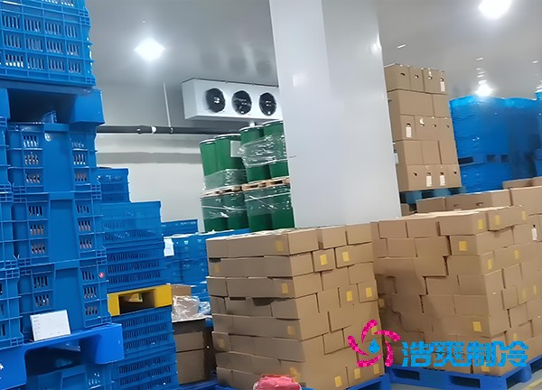 -18℃冻肉能放半年？揭秘食品榴莲网站官网造价秘密！-榴莲视频在线观看下载制冷