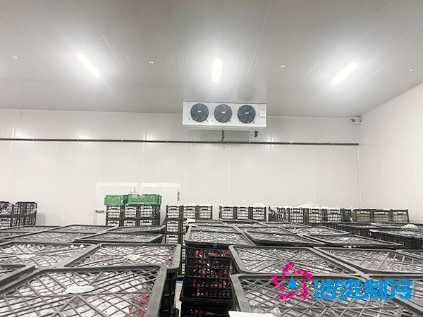 想知道保鲜榴莲网站官网设计安装要花多少钱？-榴莲视频在线观看下载制冷
