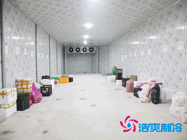想知道保鲜榴莲网站官网设计安装要花多少钱？-榴莲视频在线观看下载制冷