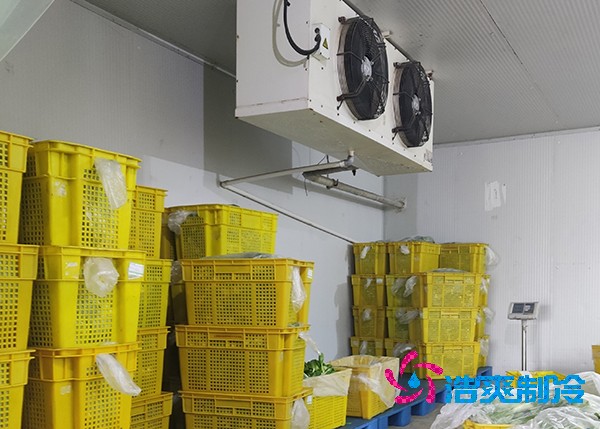 农副产品保鲜榴莲网站官网造价预算