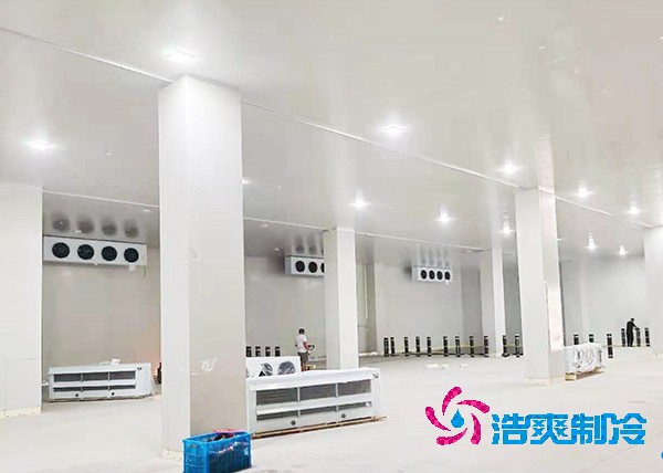 4000㎡冷链榴莲网站官网造价