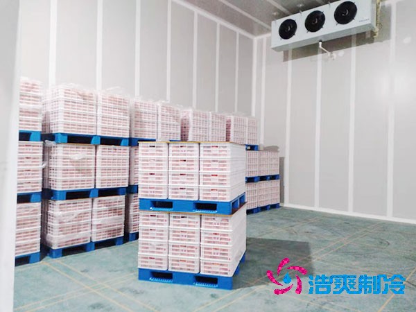 食堂榴莲网站官网建造价格大概多少钱？-榴莲视频在线观看下载制冷