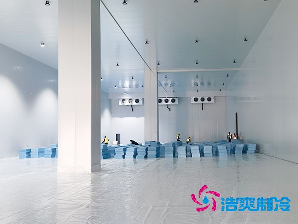 小龙虾榴莲网站官网安装造价