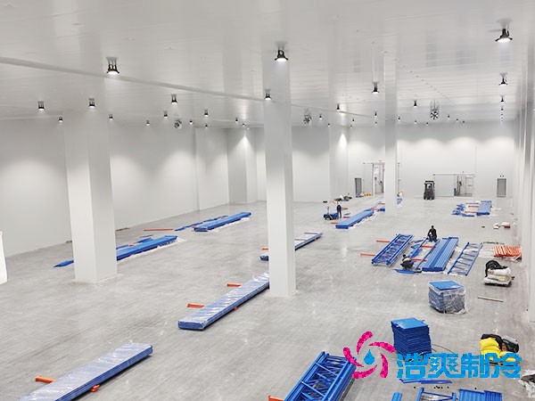 生鲜冷链物流榴莲网站官网造价