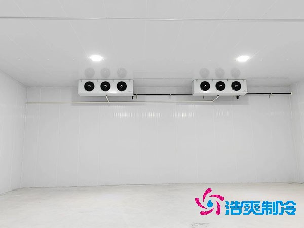 小型速冻榴莲网站官网建造价格