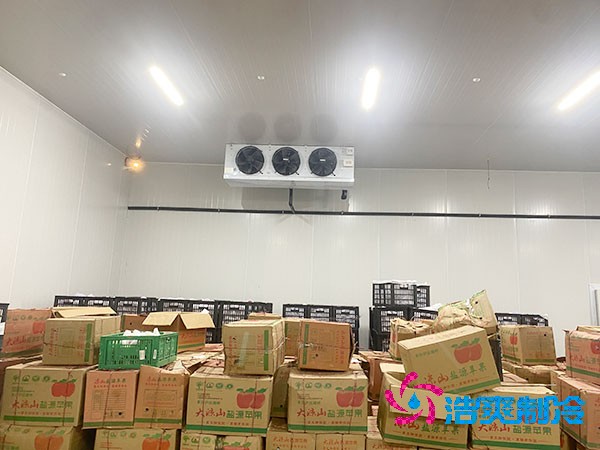 水果榴莲网站官网造价