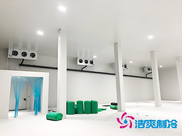 坚果榴莲网站官网建设预算