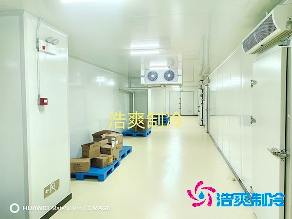 荔枝榴莲网站官网安装价格多少钱一平方米？荔枝榴莲网站官网可以放多久-榴莲视频在线观看下载制冷