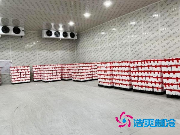芭乐果保鲜榴莲网站官网安装造价多少钱？芭乐果在榴莲网站官网能放多久？-榴莲视频在线观看下载制冷